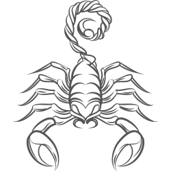Skorpion Tattoo
