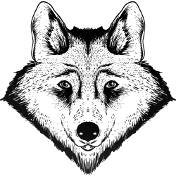 Wolf als Tattoo 19